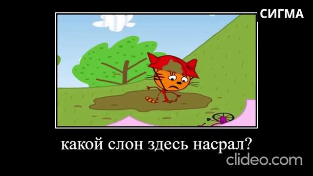 14 минут ржаки от трёх котов😂ПОПРОБУЙ НЕ ЗАСМЕЯТЬСЯ😂