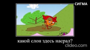 14 минут ржаки от трёх котов😂ПОПРОБУЙ НЕ ЗАСМЕЯТЬСЯ😂