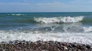 ПОЭТИЧЕСКИЙ ХОЛСТ слова Оксаны Москаленко, музыка и исполнение Шафката Чатаева