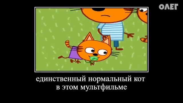 Три кота ржака