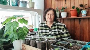 ВЛОГ: ЗАПЕКАНКА, ПОДАРОК ВНУКУ, САЛАТ..