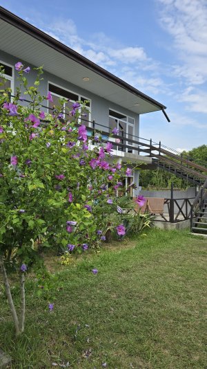 🌴 МАЙСКИЕ В АБХАЗИИ   📅 1 – 5 мая (5 дней / 4 ночи) 🏠 Большой номер на 4-х 💰 1 500 ₽ / сутки 🔥