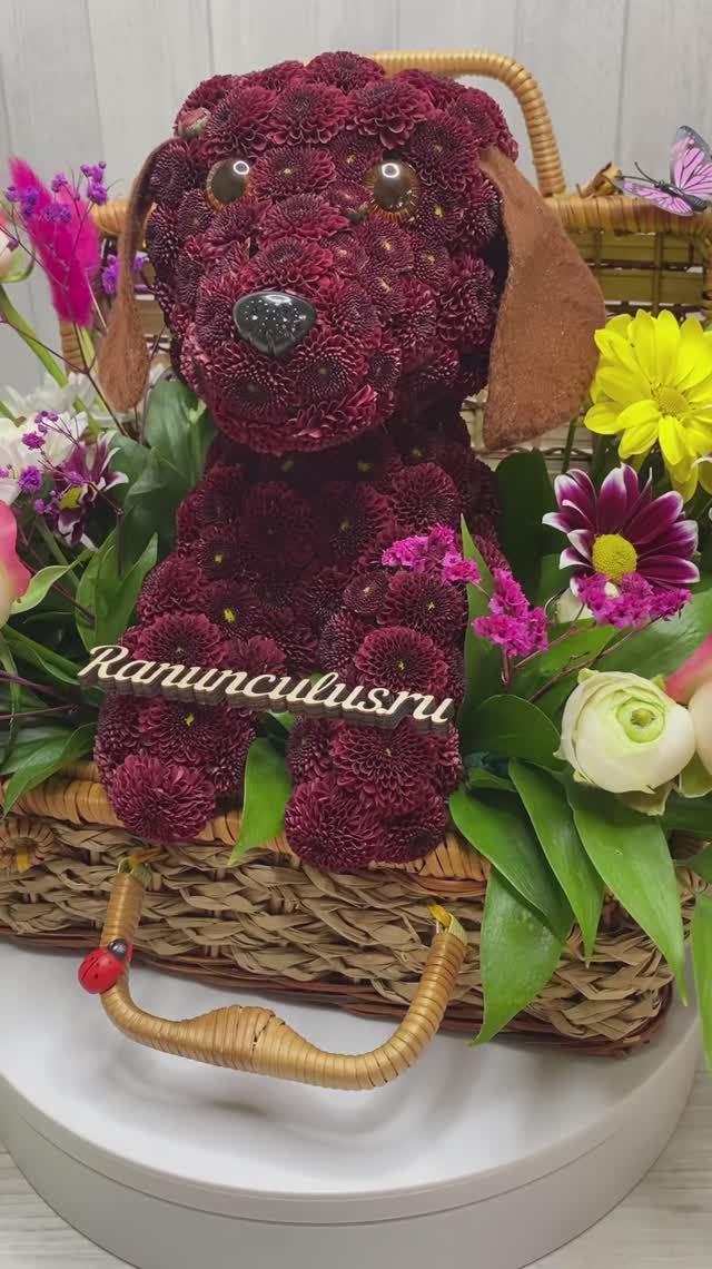 Лабрадор из живых цветов кл смотреть онлайн