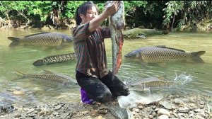 Ловлю рыбу традиционными Вьетнамскими методами. Жизнь во Вьетнаме