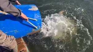 copy_3B73C395-1A37-4D91-82B8-35FEA81DA632