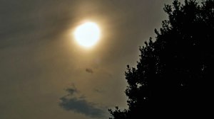 Хмурое небо в мае