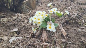 Мы на природе и это радует !!!