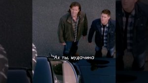 Дин понимает животных