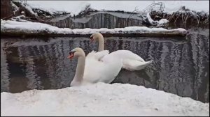 Конкурс Юнкор-2026 г. Белгород