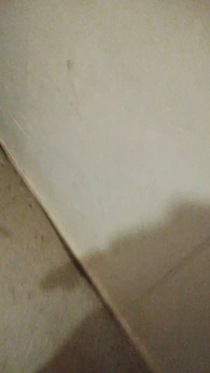 Мы идём гулять с собакой! | 22-мар-2026 5