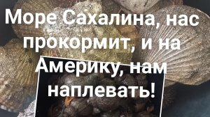 #Сахалинские,морские вкусняшки.