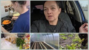 330 ПОЕЗДКА В ДИНСКУЮ.  ГАЗ В ДОМЕ БУДЕТ. Грядки готовы .Готовлю борщ и курицу .Жизнь на юге.