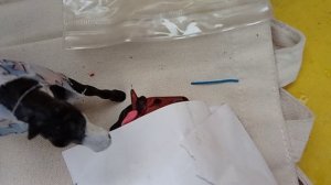 СВОБОДА 1 СЕРИЯ