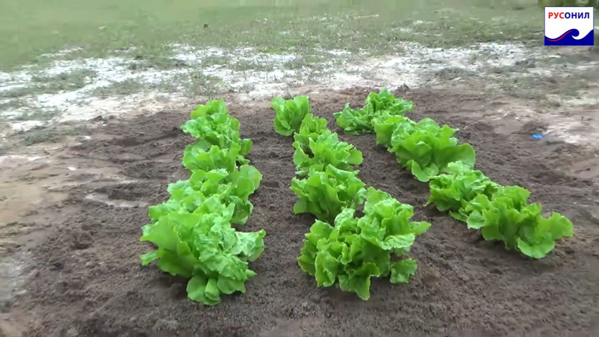 РУСОНИЛ — ПРИМЕНЕНИЕ 100% водонепроницаемого песка