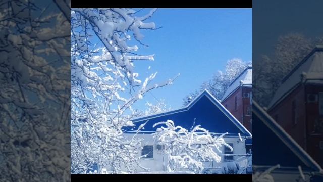 Снежная сказка (Алёна Далида)