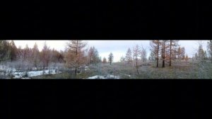 Охота в окрестностях р. Сайлыг-Хем_10.2013