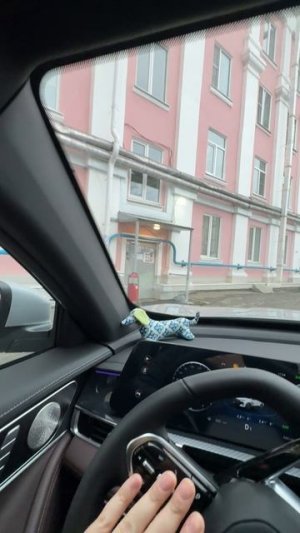 Треск Тенет Т7 в районе левой стойки водителя