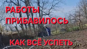 1128 Теперь Заживём. Прибавилось.Как справиться со всем. Нам наконец их привезли.