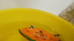 отопление Грея вторая часть