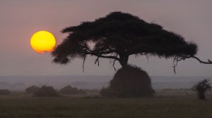 2018 08 10 КЕНИЯ