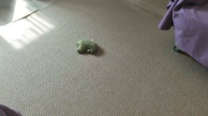 23. Переехали на Юг. год прошел, какими были, какими стали.