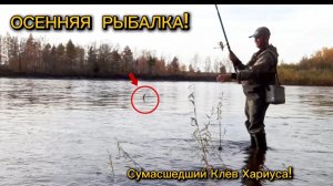 СУПЕР КЛЁВАЯ!!! Рыбалка на Хариуса!!!