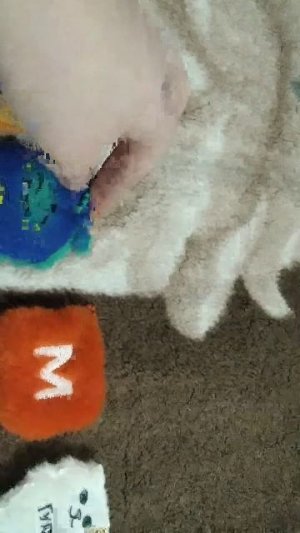 так счастлива покажу вам все свои магнитики которые у меня есть