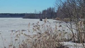 Пришибленный