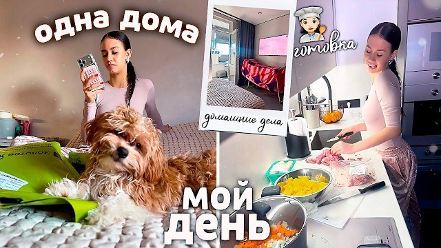 Мой чил день без парня ❤️ Готовка и обзор на покупки 🛍️ смотреть онлайн