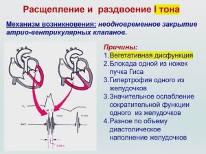 ЛЕКЦИЯ - 8-1 - Семиотика поражений сердечно-сосудистой системы у детей