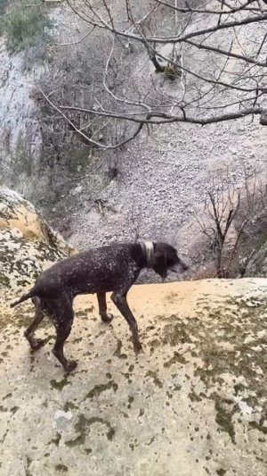 День весеннего равноденствия.