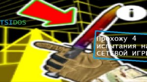 Прохожу 4 испытания на СЕТЕВОЙ ИГРЕ! Челлендж пошел не по плану? | Tsidos