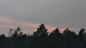 Пятничный релакс, закат над лесом. Немного про весну и российский фондовый рынок. Точка бифуркации