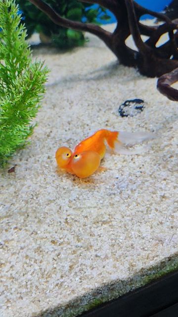 Я в школе🤣🤣🤣