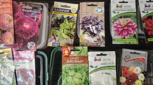 22 марта 2026г. Посев цветов. Всходы томатов. Обзор рассады.