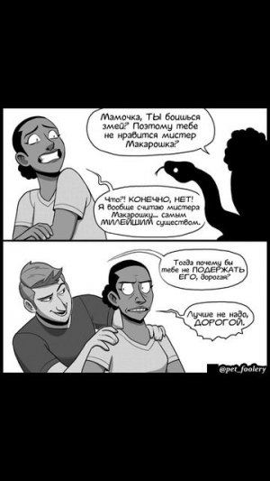 Мелкие и крупные породы собак