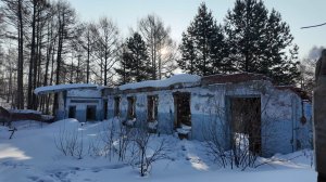 Комсомольск-на-Амуре. Амурсталевская сопка. Прогулка по лесу 22.03.26