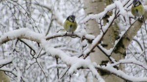 Февраль. (1).