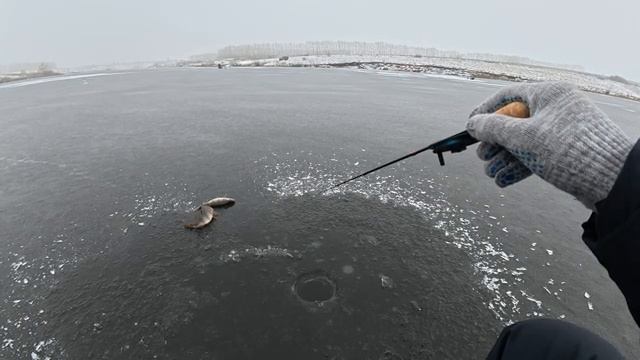 И ПОЧЕМУ Я РАНЬШЕ НА ЭТО НЕ ЛОВИЛ! ПРОСТАЯ, НО ОЧЕНЬ УЛОВИСТАЯ! Рыбалка со льда 2026