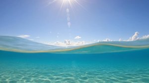 10 минут подводного мира — глубокое расслабление