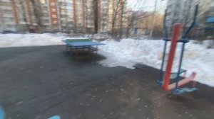 Вкусняшки из магазина. Балую Бориса. Капризная шток-Роза