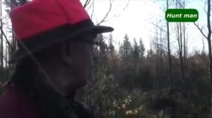 Охота на лося с подхода с собаками