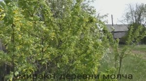 Умирают деревни молча