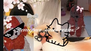 история моих собак? Как появилась Тиффани? Я не хотела брать Селин?