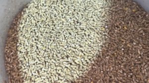 Самодельный Качественный Гранулированный Комбикорм Для Цыплят Бройлеров рост 16-24 дней диаметр 2,5