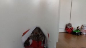 новый танец басика