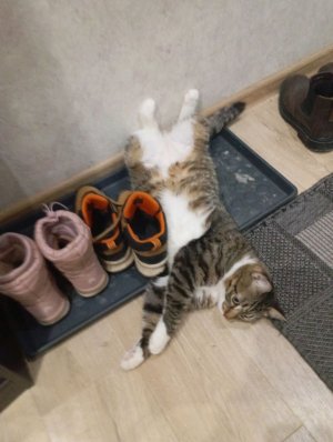 мы с моей подругой вызываем духа Чарли Чарли