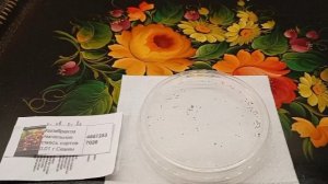 О посадке на рассаду мелких семян Калибрахоа и быстрых всходах