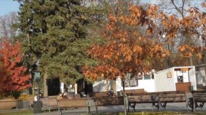 Прогулка вдвоем.Ботанический сад осенью