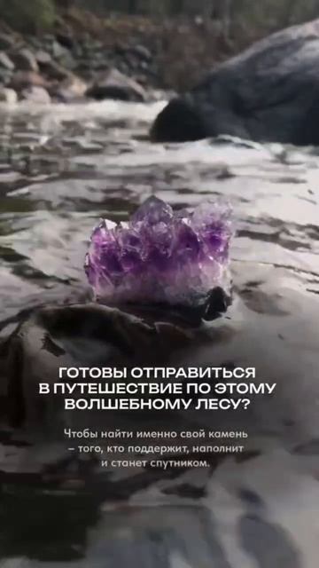 ПОДПИСЫВАЙТЕСЬ НА НАШ КАНАЛ МАХ